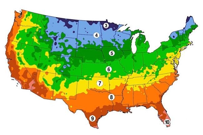 Simplified USA Hardiness Zone Map